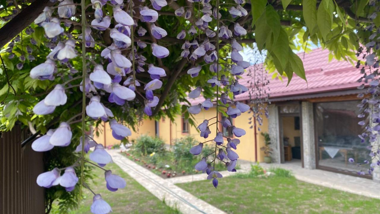 Casa de vacanta - Ograda cu flori Almas Exterior foto